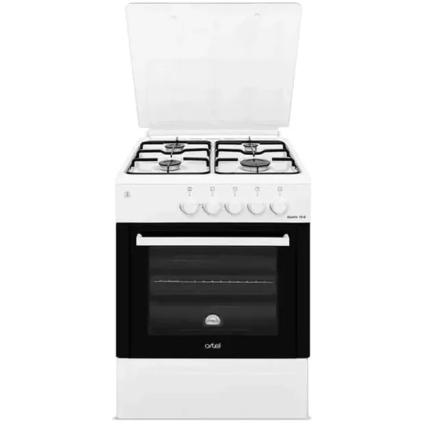 Газоэлектрическая плита ARTEL Apetito 50 10-G (KZ)